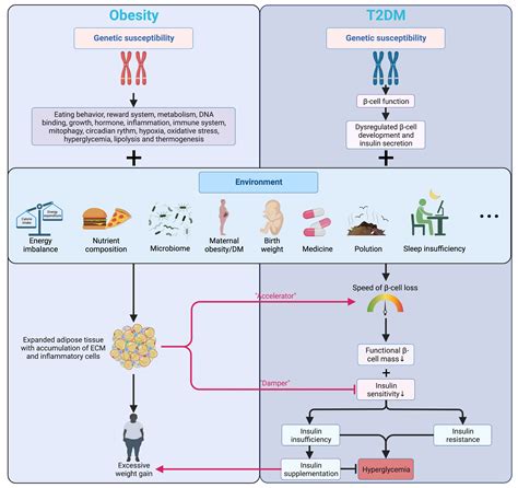 valley diabetes & endocrine comprehensive center|Type 2 diabetes and obesity: Bitter polyphenols may help lower risk.